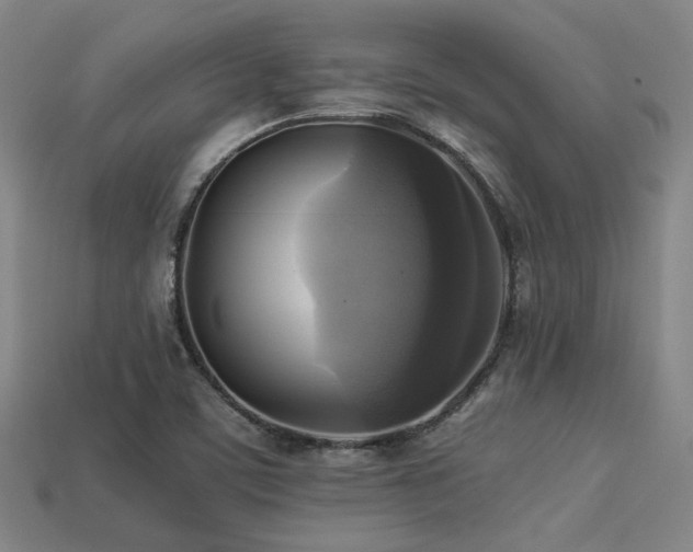 X0000113221459200909101140