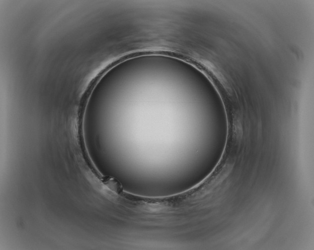 X0000113221460200909101140