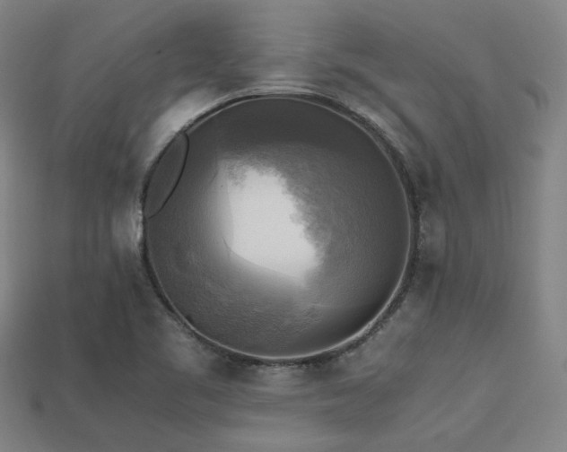 X0000113221461200909101140