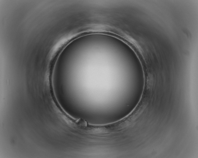 X0000113221464200909101140