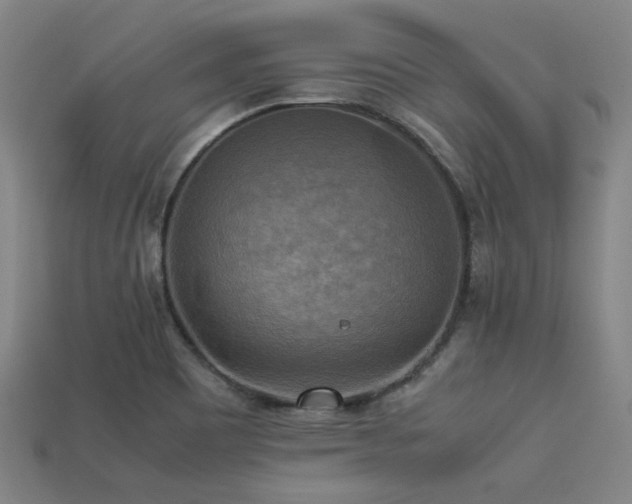 X0000113221465200909101140