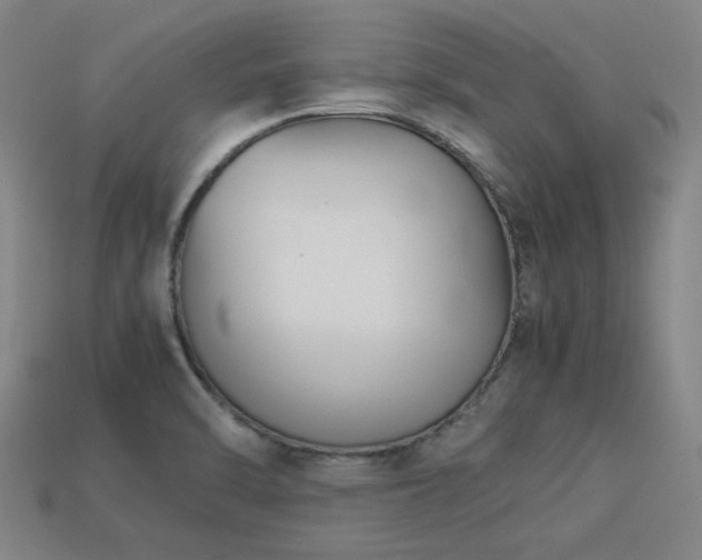 X0000113221470200909101140