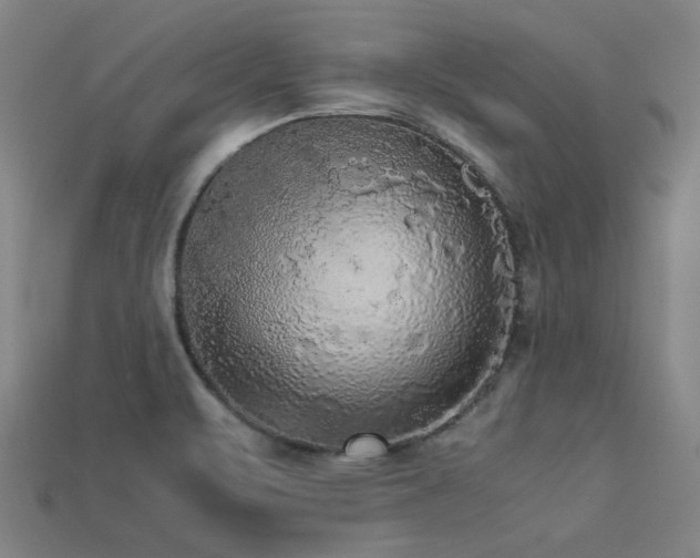 X0000113221471200909101140
