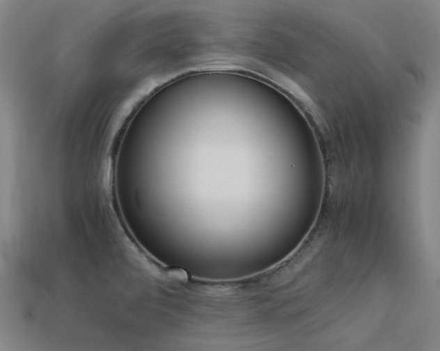 X0000113221472200909101140