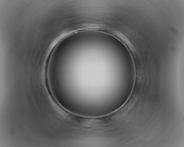 X0000113221475200909101140