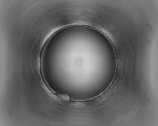 X0000113221476200909101140