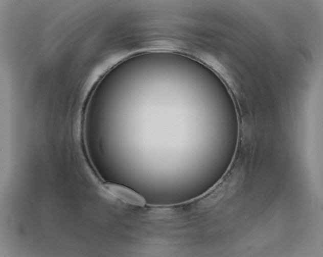 X0000113221477200909101140