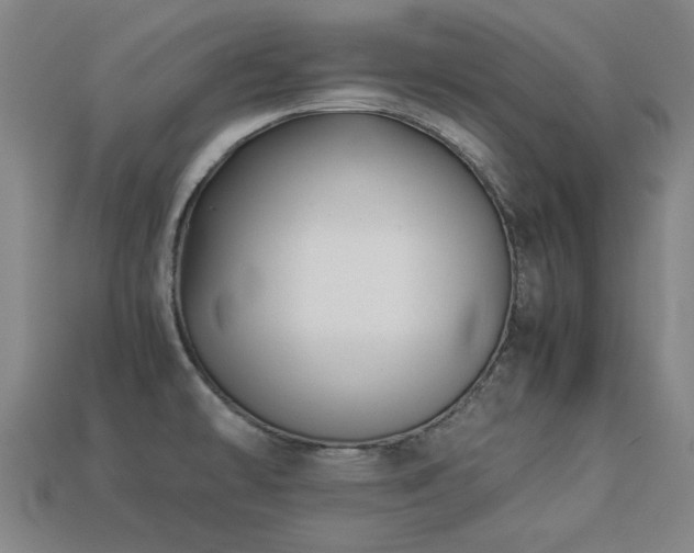 X0000113221478200909101140