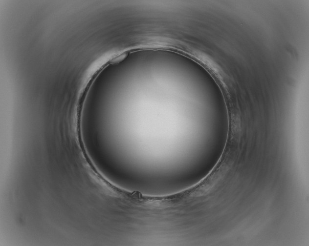 X0000113221480200909101140