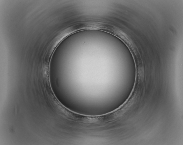 X0000113221481200909101140