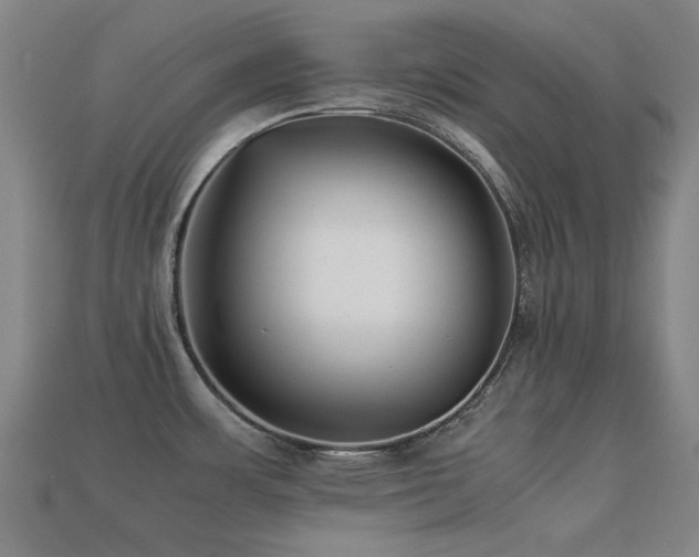 X0000113221483200909101140