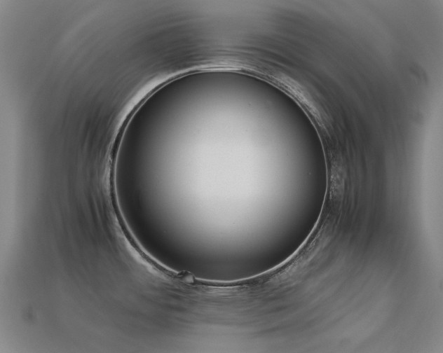 X0000113221484200909101140
