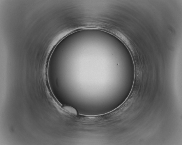 X0000113221485200909101140