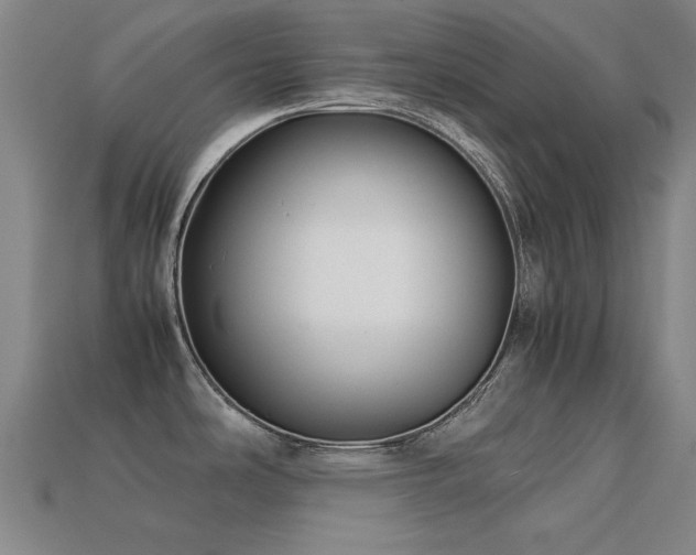 X0000113221486200909101140
