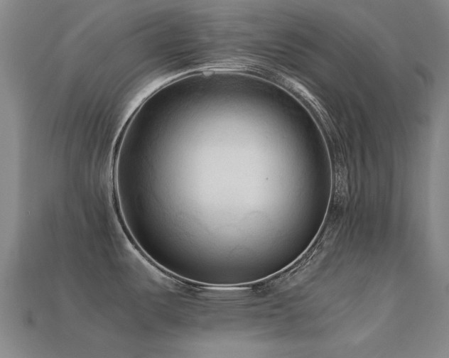 X0000113221487200909101140