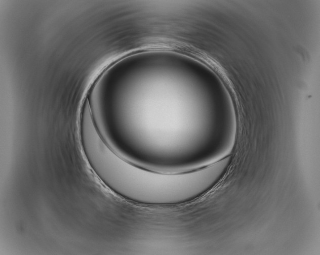 X0000113221488200909101140