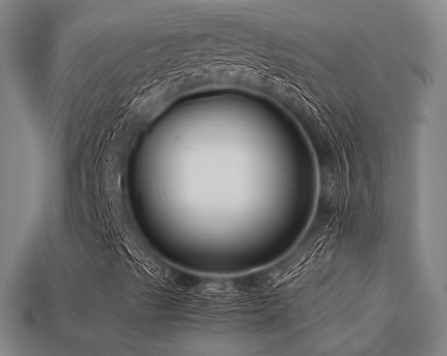 X0000113221489200909101139