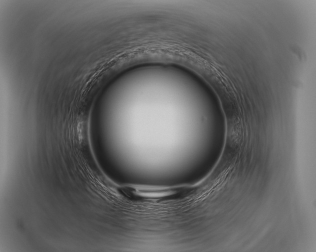 X0000113221490200909101139