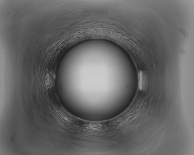 X0000113221491200909101139