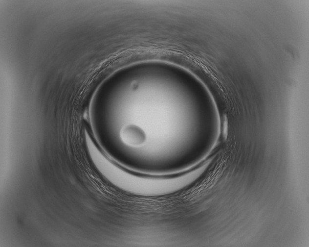 X0000113221492200909101139
