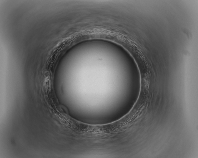 X0000113221493200909101139