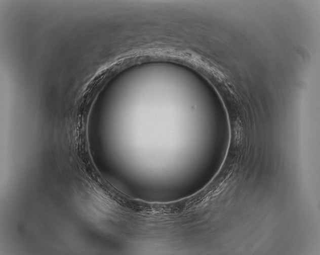 X0000113221494200909101139