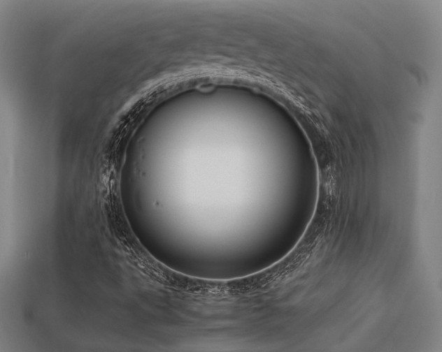 X0000113221495200909101139