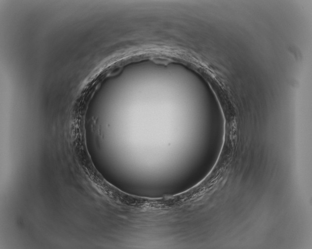 X0000113221496200909101139