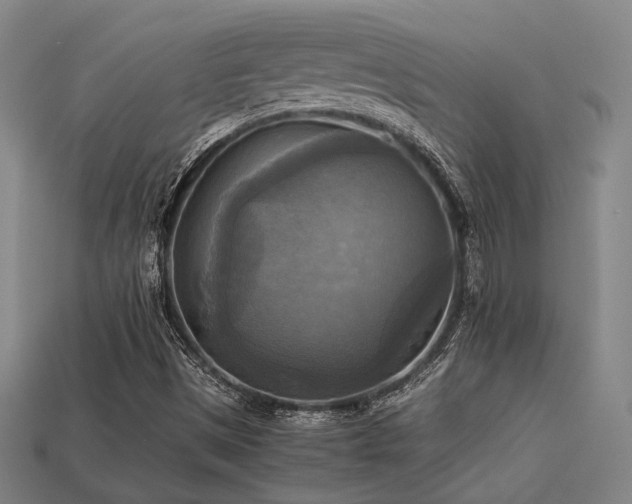 X0000113221497200909101139