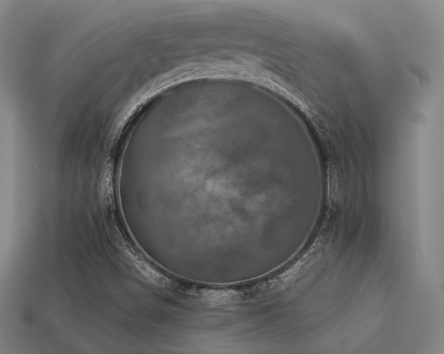 X0000113221498200909101139