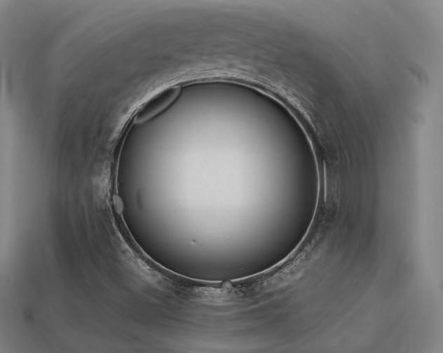 X0000113221500200909101139