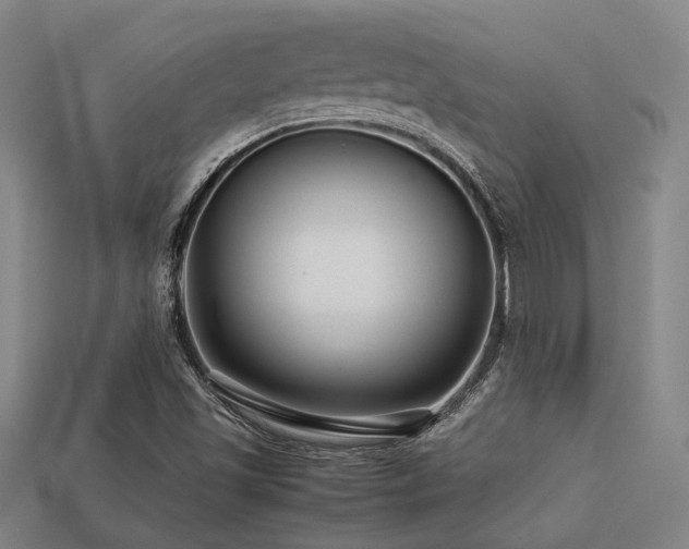 X0000113221501200909101139