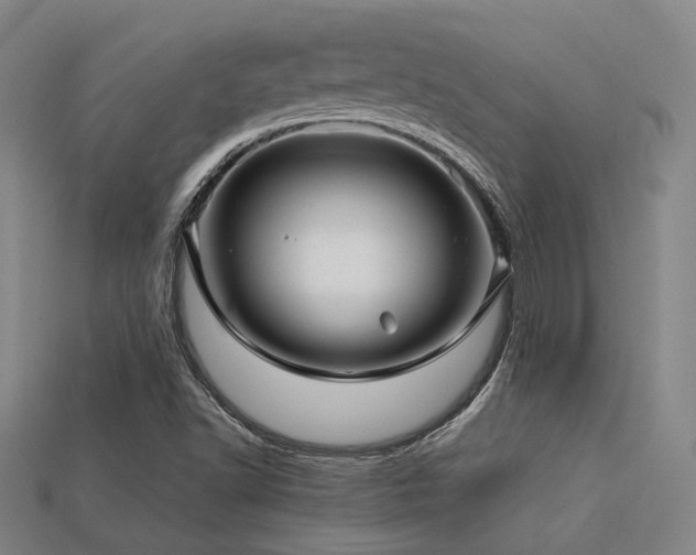 X0000113221502200909101139