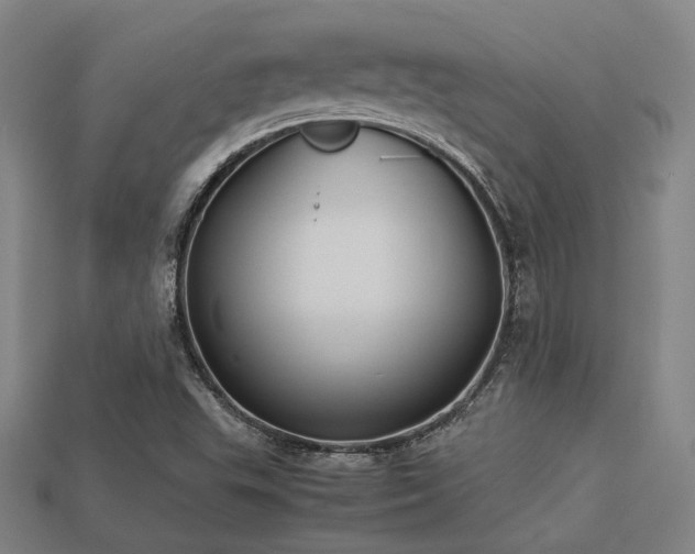 X0000113221503200909101139