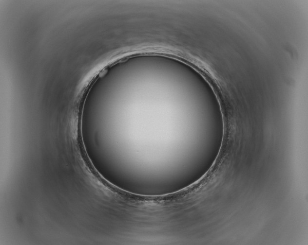 X0000113221504200909101139