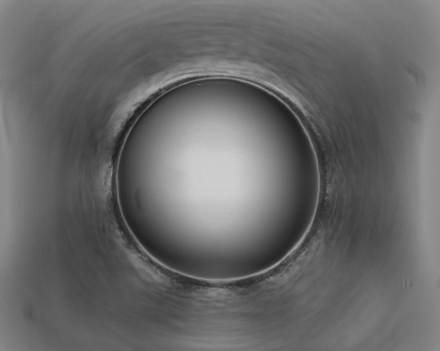 X0000113221507200909101139