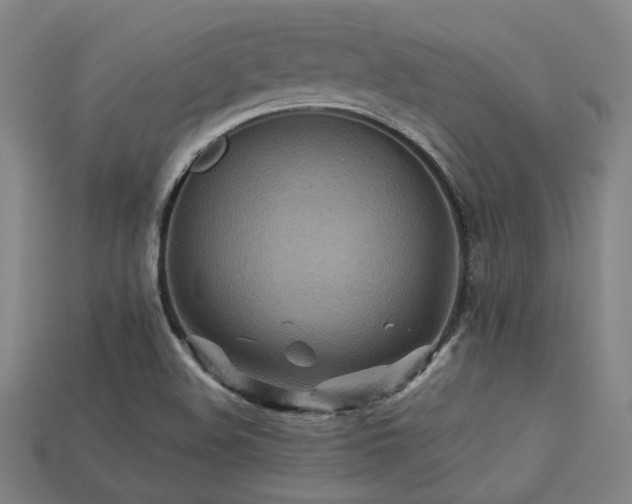 X0000113221508200909101139