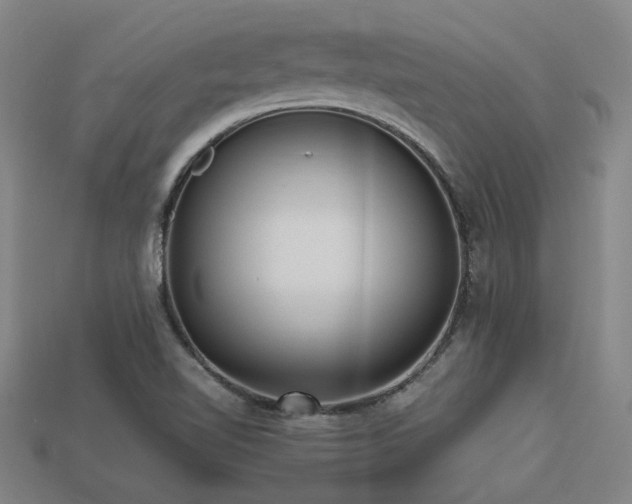 X0000113221510200909101139