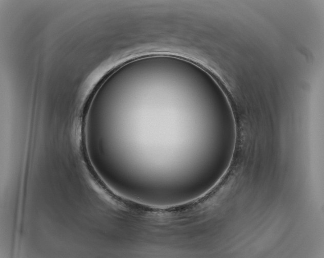 X0000113221511200909101139