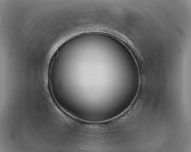 X0000113221512200909101139