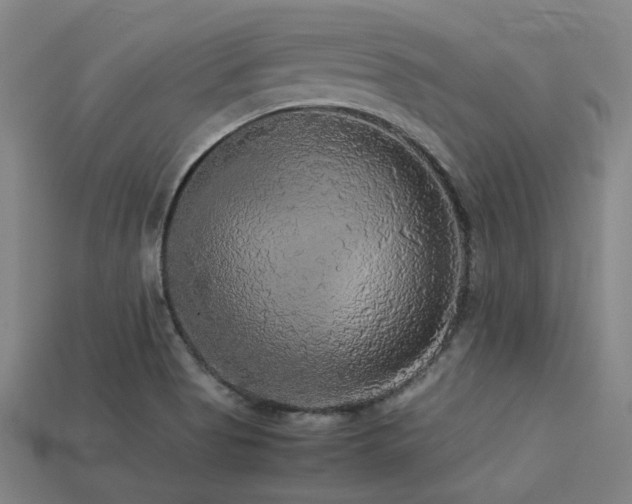 X0000113221513200909101139