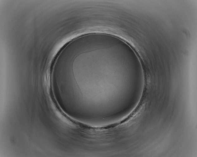 X0000113221515200909101139