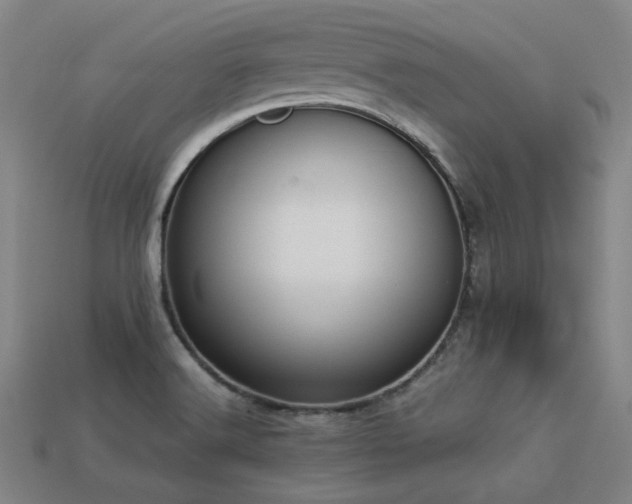 X0000113221516200909101139