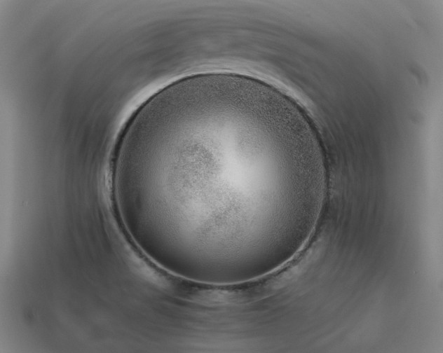 X0000113221517200909101139