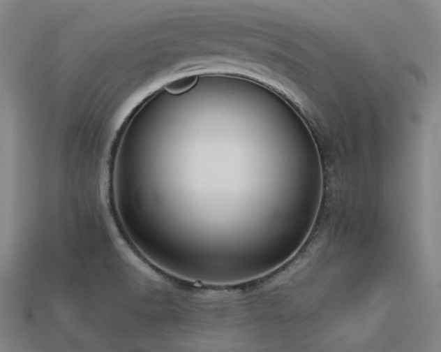 X0000113221518200909101139