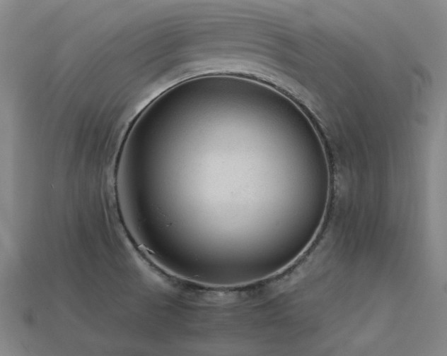 X0000113221521200909101139