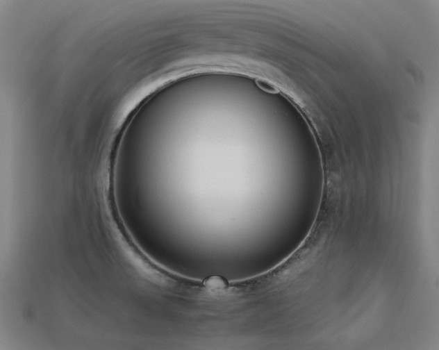 X0000113221523200909101139