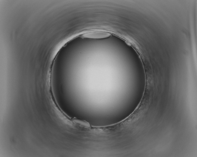 X0000113221524200909101139