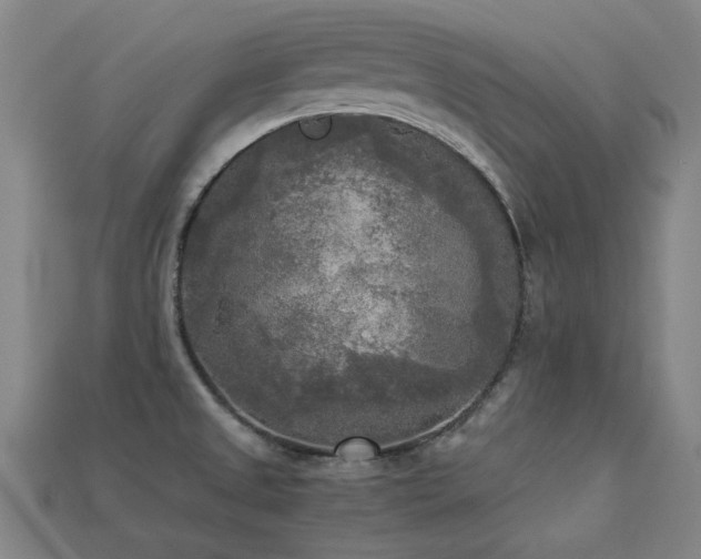 X0000113221525200909101139