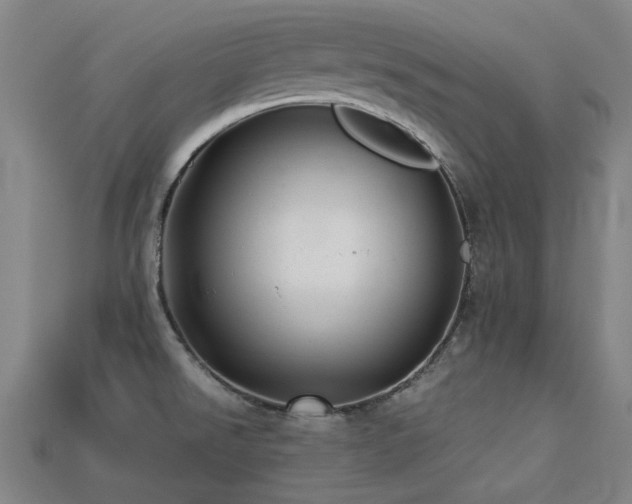 X0000113221526200909101139